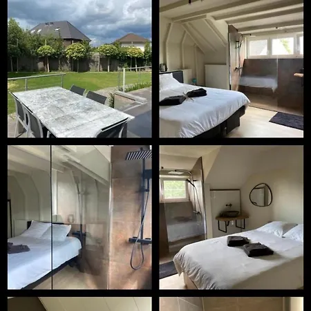 Villa Met 3 Slaapkamers 3badkamers Zwembad Afrit E17 Waregem