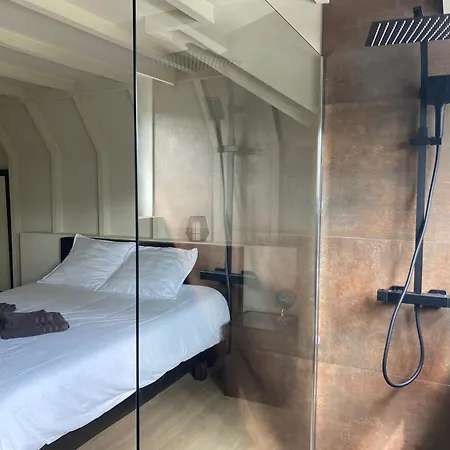 Villa Met 3 Slaapkamers 3badkamers Zwembad Afrit E17 Waregem